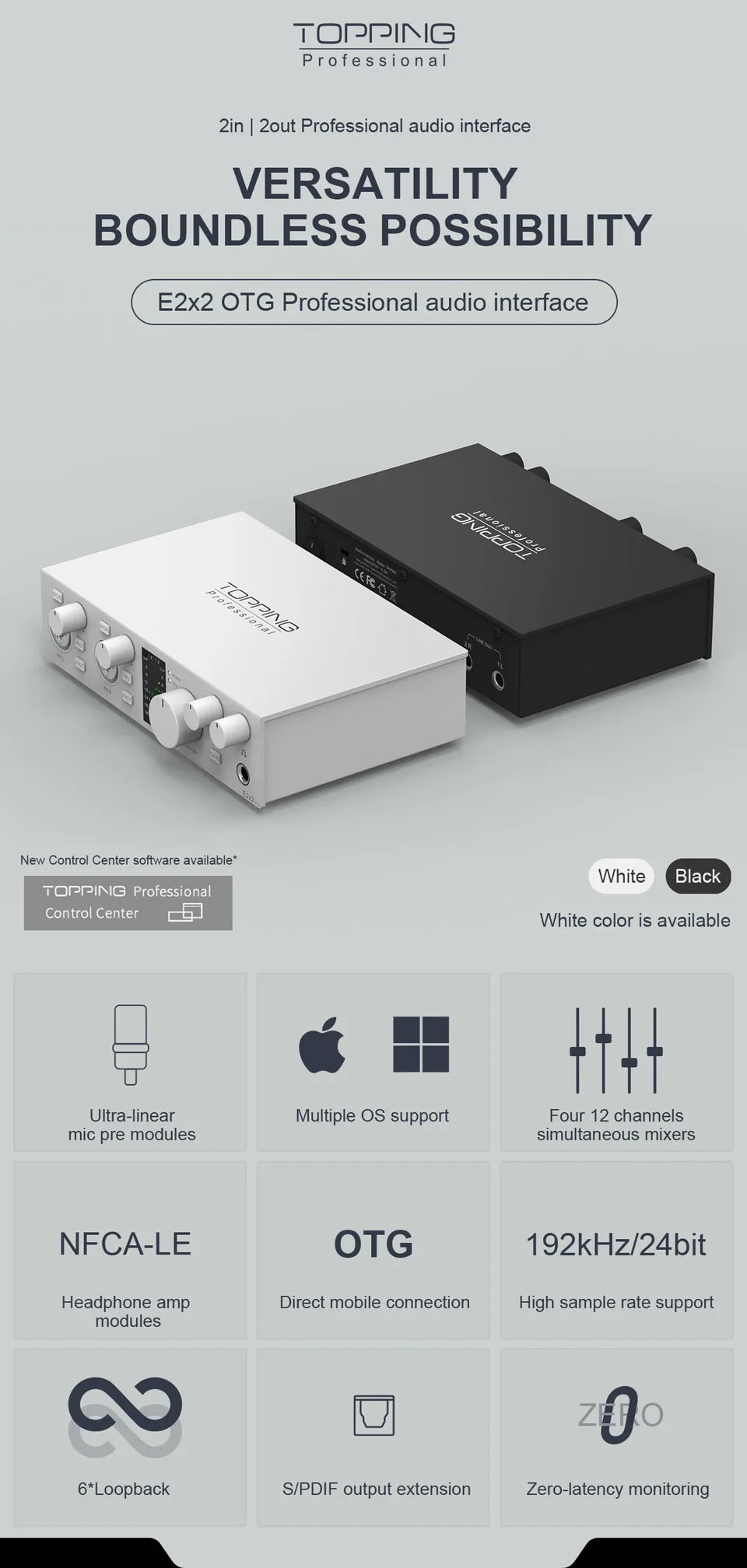 TOPPING E2x2 OTG Professional Audio Interface 2 In 2 Out